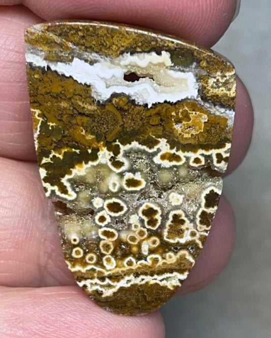 Freeform 35x23mm Ocean Jasper Cabochon 95