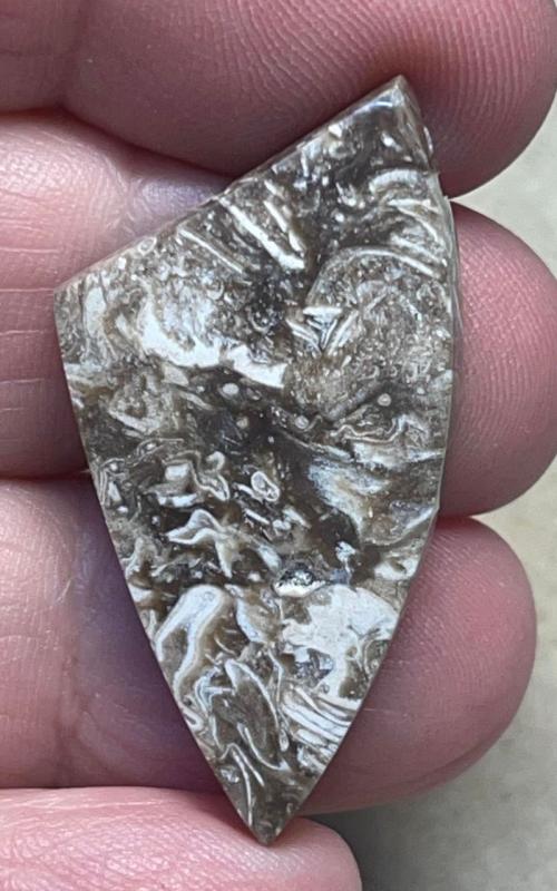Freeform 38x19mm Indonesian Petrified Wood Cabochon 40