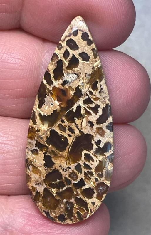 Teardrop 43x18mm Petrified Pocket Root Cabochon 37