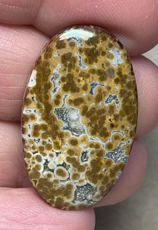 Oval 33x20mm Ocean Jasper Cabochon 104