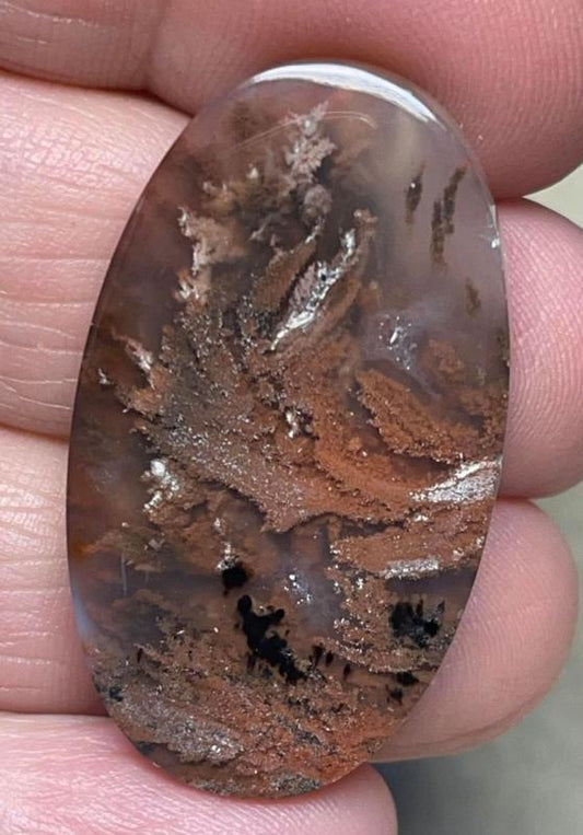 Oval 37x21mm Indonesian Plume Agate Cabochon 79