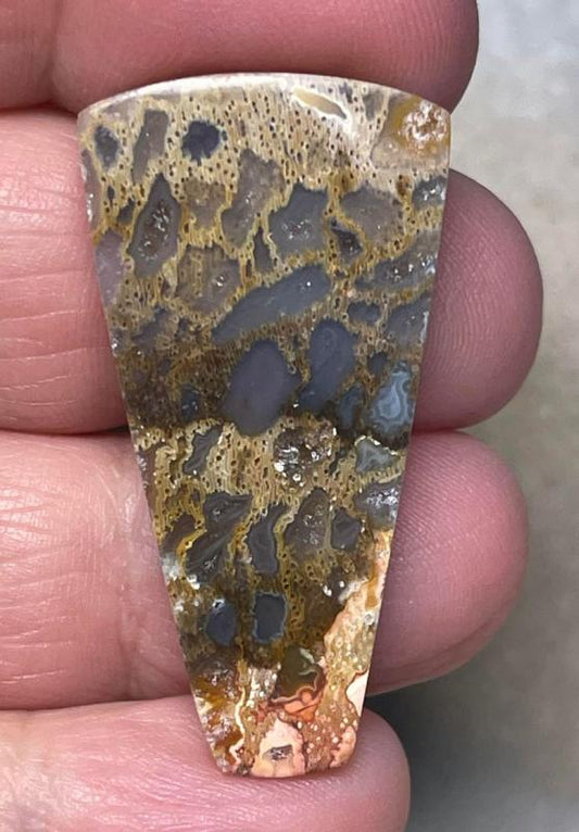 Freeform 39x20mm Petrified Pocket Root Cabochon 37