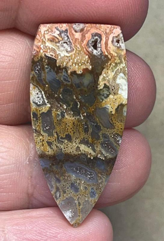 Freeform 37x17mm Petrified Pocket Root Cabochon 38