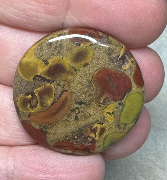 Round 29x29mm Fruit Jasper Cabochon 12
