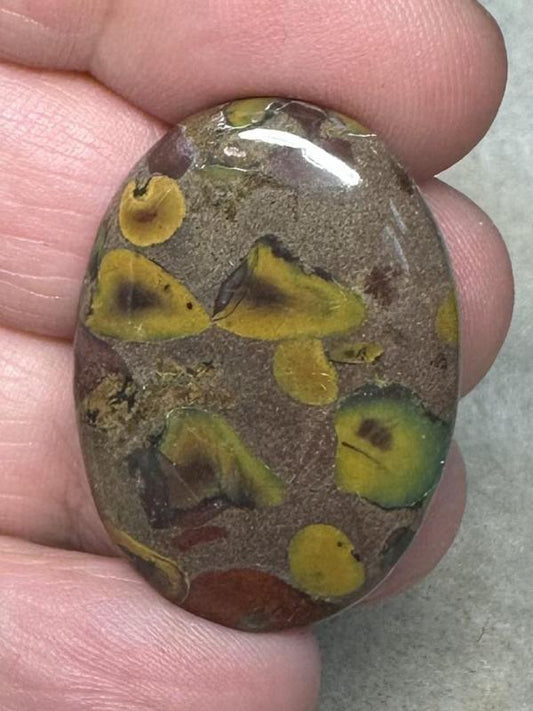 Oval 33x23mm Fruit Jasper Cabochon 13