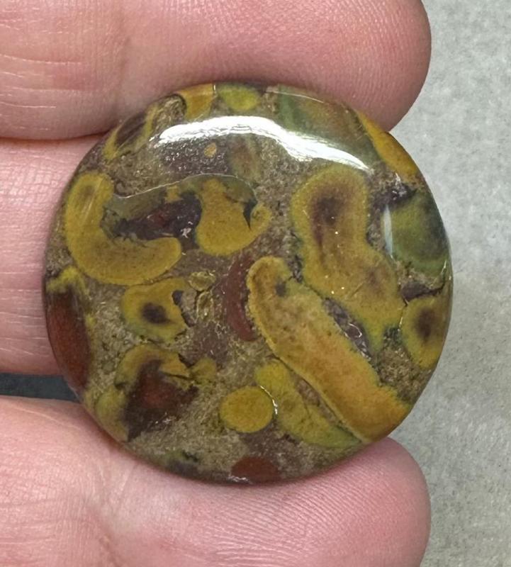 Round 29x29mm Fruit Jasper Cabochon 22
