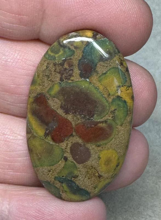 Oval 37x22mm Fruit Jasper Cabochon 27