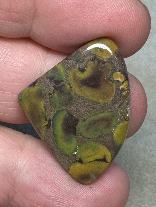 Teardrop 22x30mm Fruit Jasper Cabochon 29