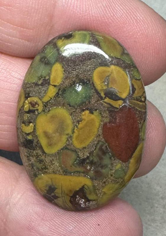 Oval 31x22mm Fruit Jasper Cabochon 30