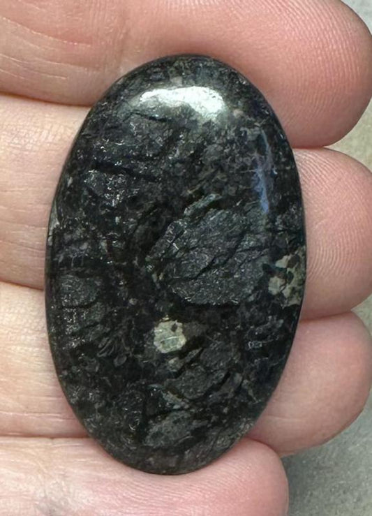 Oval 38x23mm Nuummite Cabochon 14