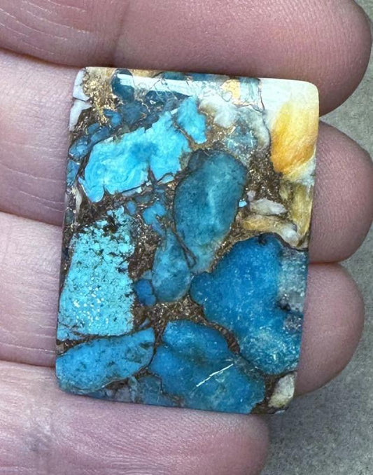 Rectangle 32x23mm Spiny Oyster Turquoise 60