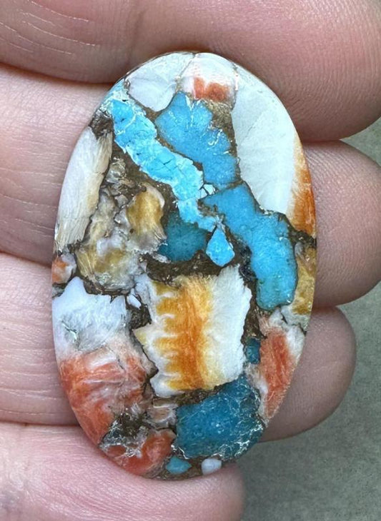 Oval 39x23mm Spiny Oyster Turquoise Cabochon 61