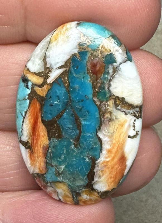 Oval 34x23mm Spiny Oyster Turquoise Cabochon 70