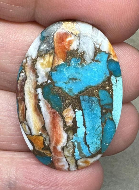 Oval 35x24mm Spiny Oyster Turquoise Cabochon 73