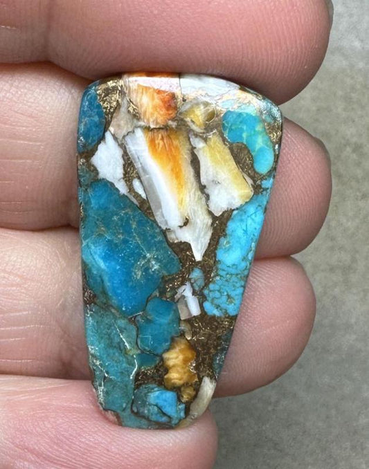 Freeform 33x18mm Spiny Oyster Turquoise Cabochon 79