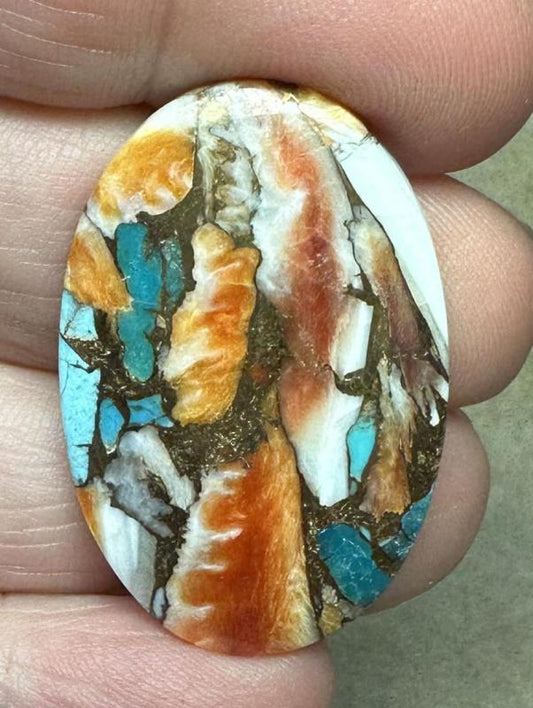 Oval 36x23mm Spiny Oyster Turquoise Cabochon 81