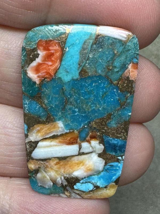 Freeform 35x23mm Spiny Oyster Turquoise Cabochon 87