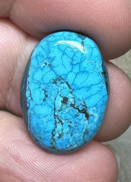 Oval 22x16mm Hubei Turquoise Cabochon 46