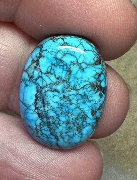 Oval 23x17mm Hubei Turquoise Cabochon 50