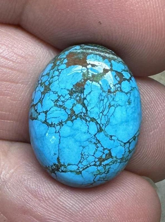 Oval 20x16mm Hubei Turquoise Cabochon 53
