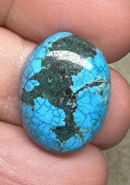 Oval 20x15mm Hubei Turquoise Cabochon 66