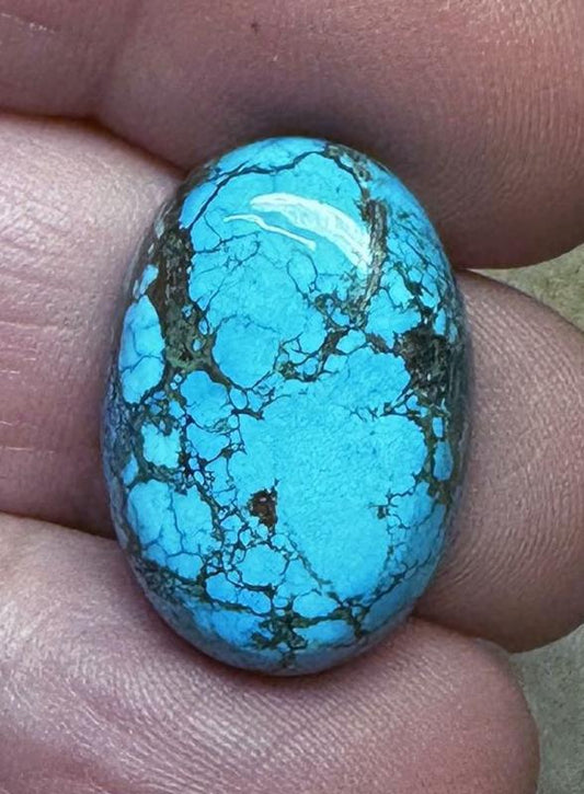 Oval 22x15mm Hubei Turquoise Cabochon 81
