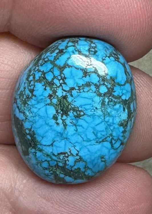Oval 25x19mm Hubei Turquoise Cabochon 99