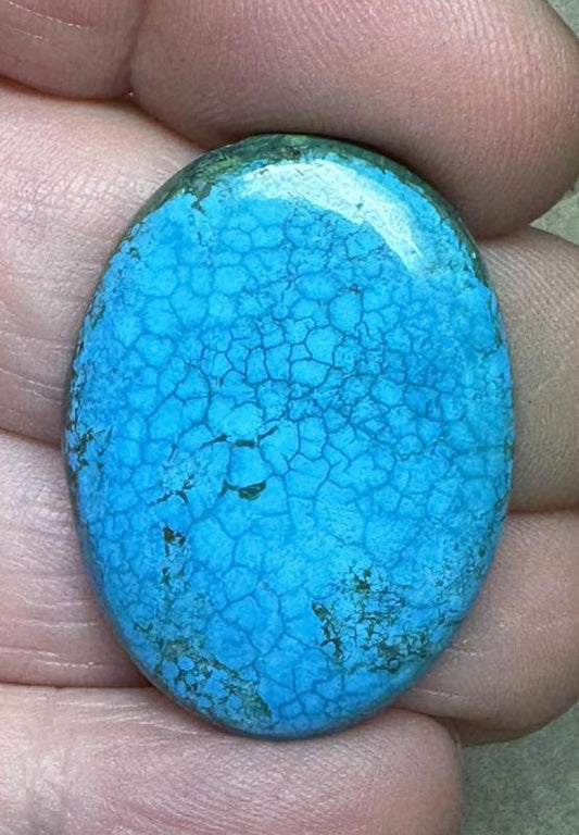 Oval 31x23mm Hubei Turquoise Cabochon 104