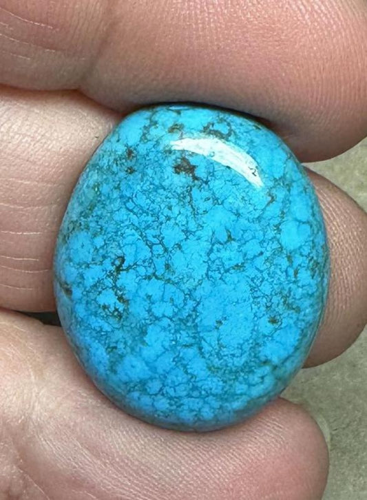 Oval 25x21mm Hubei Turquoise Cabochon 109