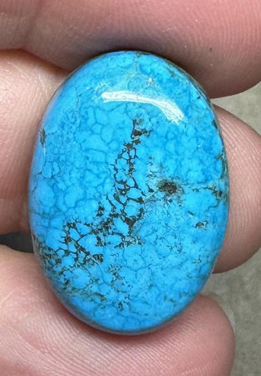 Oval 25x17mm Hubei Turquoise Cabochon 116