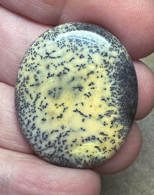 Oval 33x28mm Sunset Coloured Dendritic Opal Cabochon 81