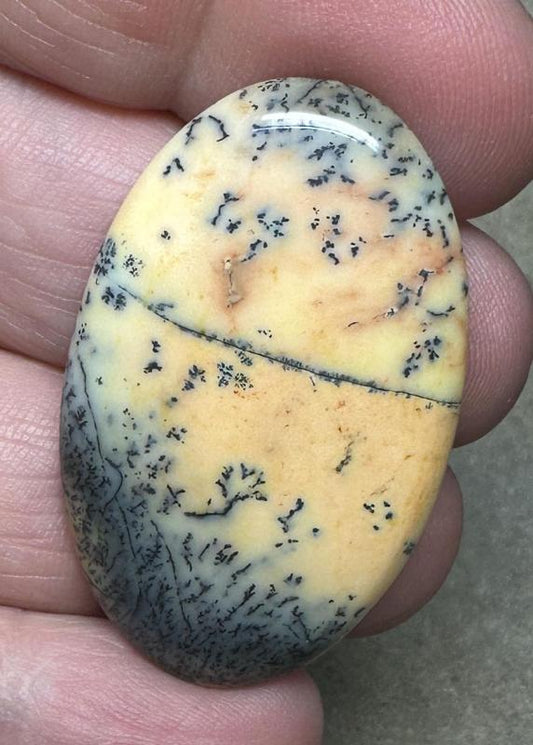 Oval 40x25mm Sunset Coloured Dendritic Opal Cabochon 88