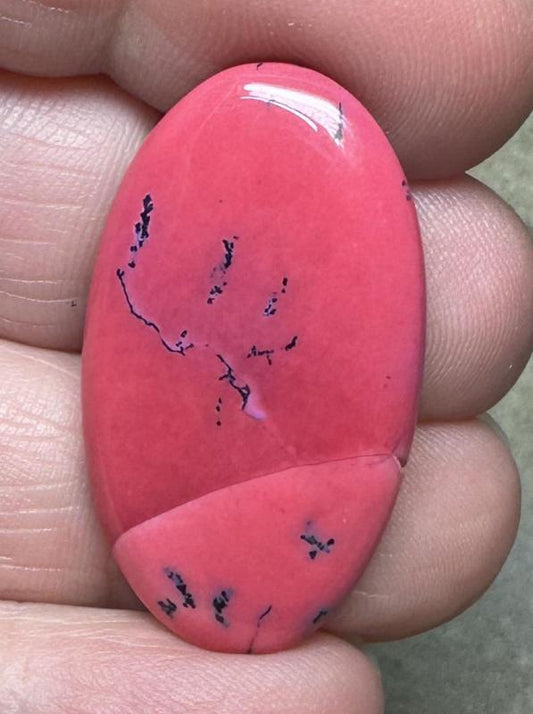Oval 34x19mm Red Coloured Dendritic Opal Cabochon 98