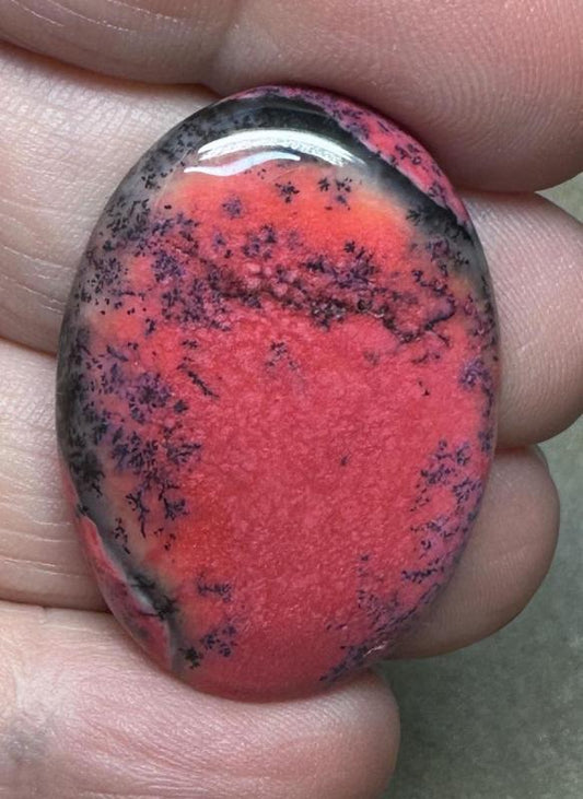 Oval 35x24mm Red Coloured Dendritic Opal Cabochon 108