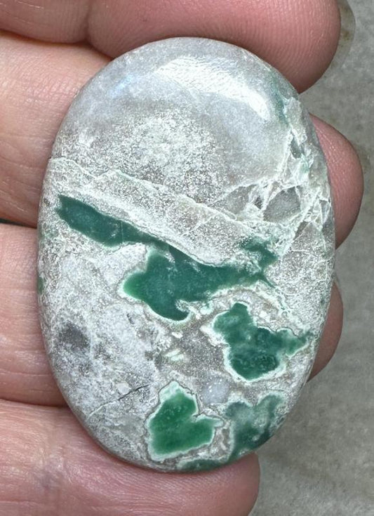 Oval 43x29mm Variscite Cabochon 12