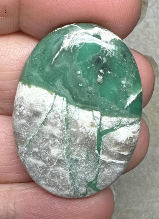 Oval 36x26mm Variscite Cabochon 20