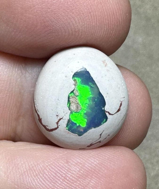 Oval 17x15mm Mexican Galaxy Opal Cabochon 15