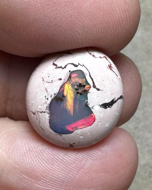 Oval 17x15mm Mexican Galaxy Opal Cabochon 26
