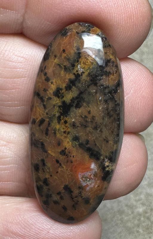 Oval 37x18mm Cheetah Jasper Cabochon 09