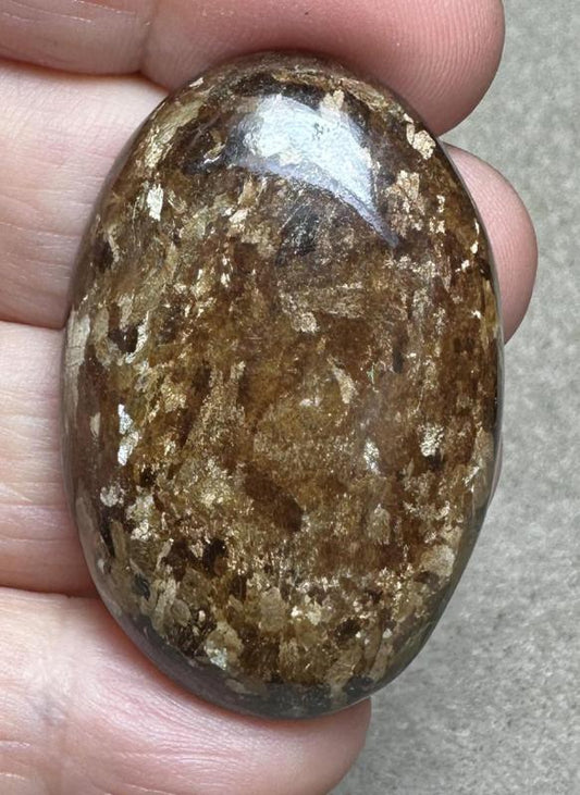 Oval 44x29mm Bronzite Cabochon 08