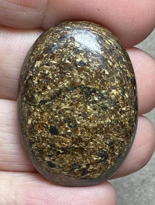 Oval 34x24mm Bronzite Cabochon 09
