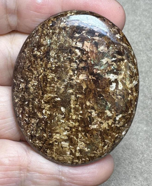 Oval 56x45mm Bronzite Cabochon 10