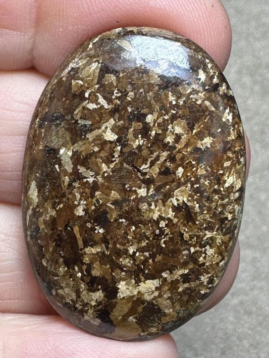 Oval 38x26mm Bronzite Cabochon 11