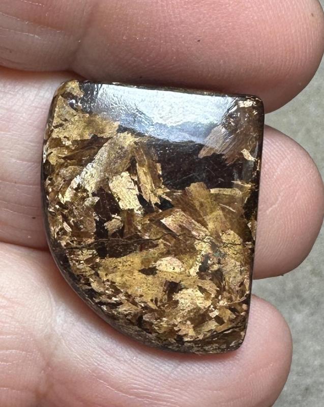 Freeform 29x22mm Bronzite Cabochon 12