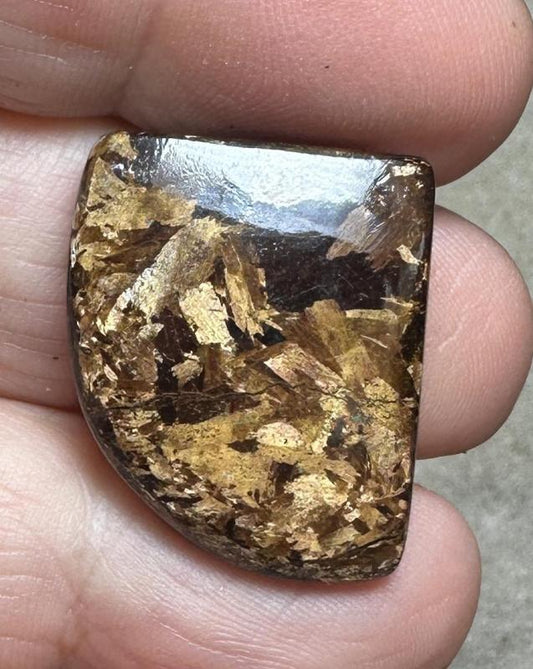 Freeform 29x22mm Bronzite Cabochon 12