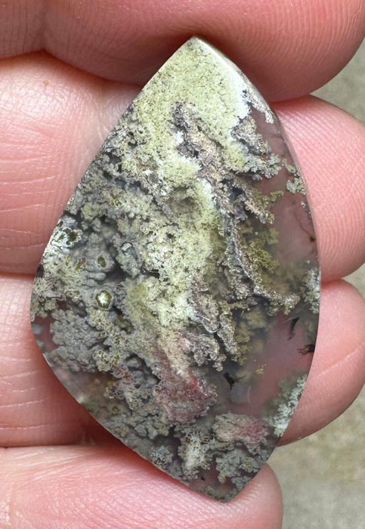 Freeform 35x21mm Scenic Java Moss Agate Cabochon 06