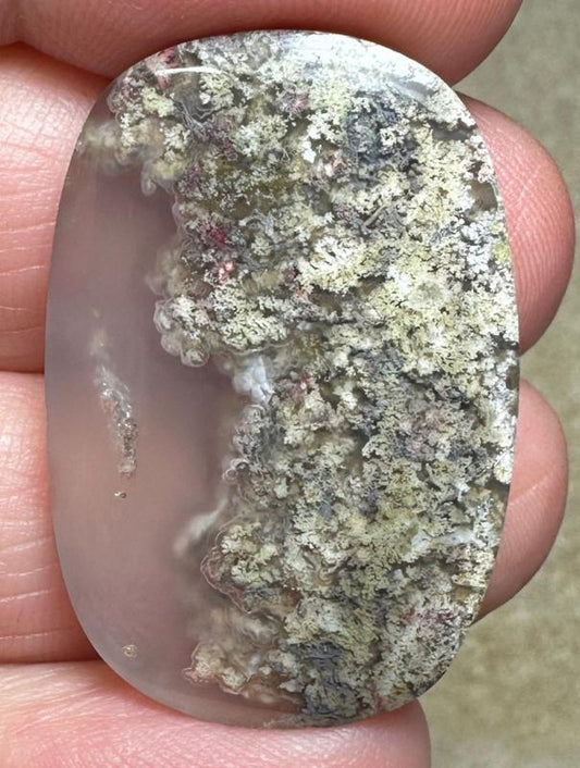 Freeform 33x22mm Scenic Java Moss Agate Cabochon 11