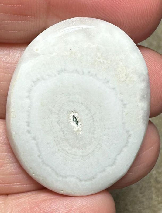 Oval 35x27mm Solar Moss Quartz Cabochon 54