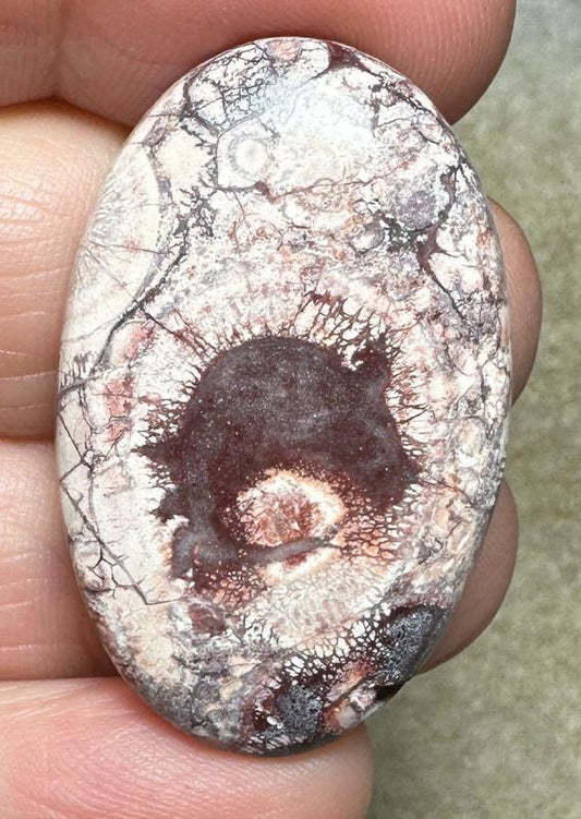 Oval 37x23mm Birds Eye Jasper Cabochon 14