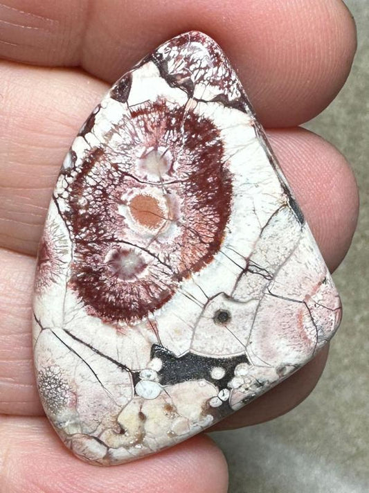 Freeform 40x27mm Birds Eye Jasper Cabochon 18